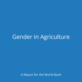 Alt="" Blue background, white text "Gender in Agriculture"